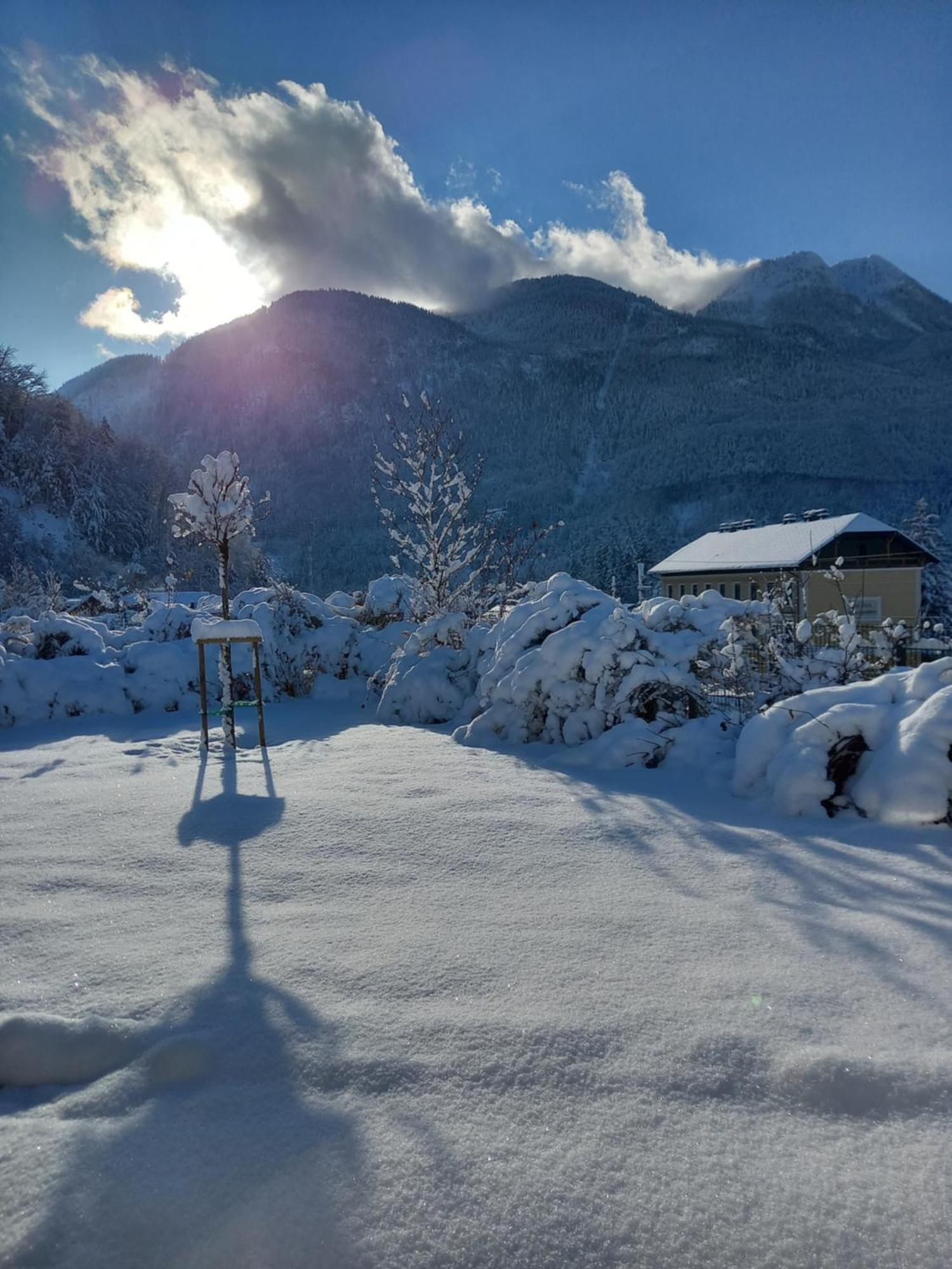 Flores Bad Ischl Exterior foto